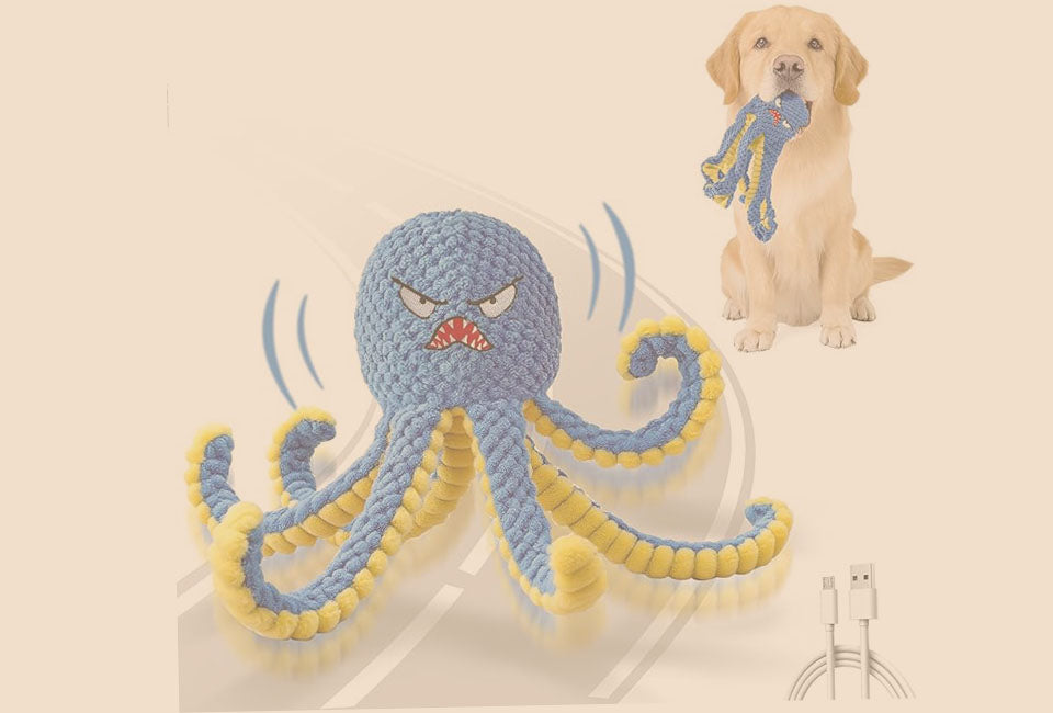 Browse Pets Toys