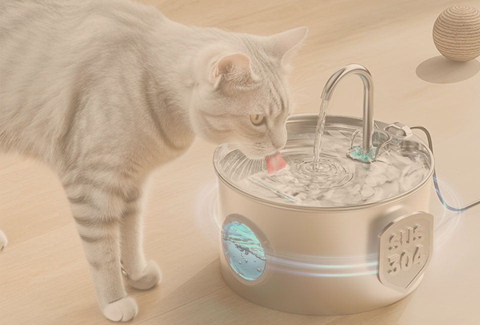 Browse Water Drink Fountain