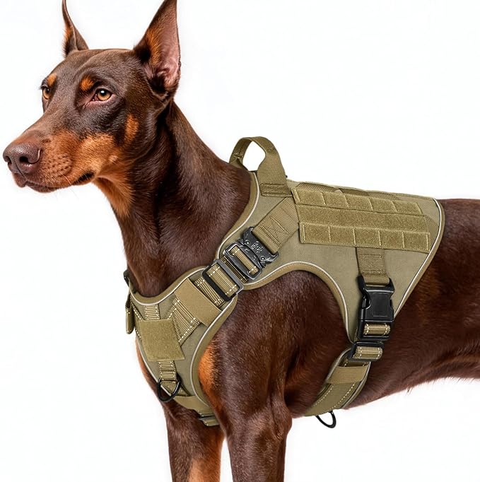 No Pull Upgraded Reflective Heavy Duty Molle Vest with Handle L