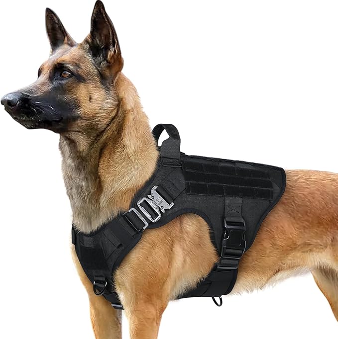 Adjustable tactical dog vest for hiking training