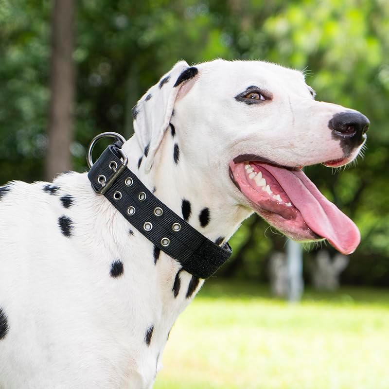 Heavy-duty military grade dog collar for large dogs