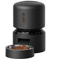 Timed Dog Feeders for Dry Food